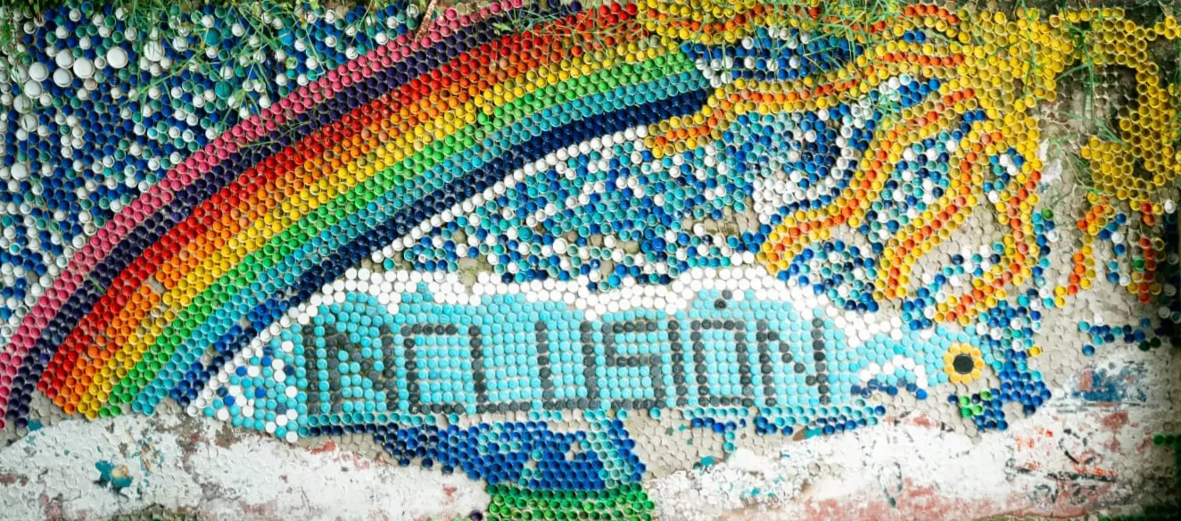 Inclusión 14